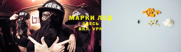 прущие грибы Алзамай