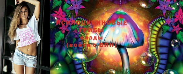PSILOCYBIN Алексин