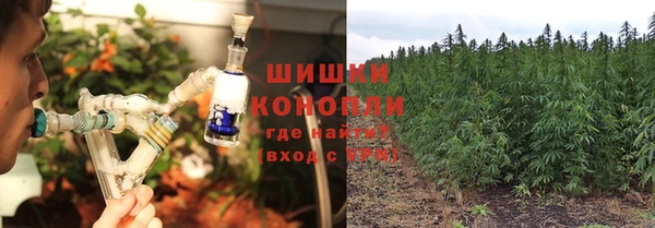 PSILOCYBIN Алексин